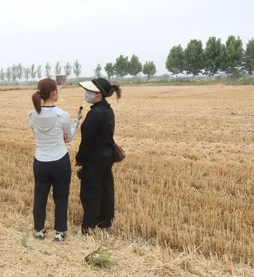 河南00后女孩请一个月麦假回家收麦想像哥哥一样继承父业,将一路向北去商丘跨区作业