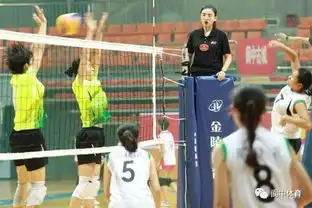 2017年四川省青少年女子排球锦标赛如火如荼