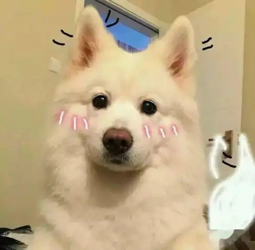 头像等待太久得来的东西多半已经不是当初想要的样子了
