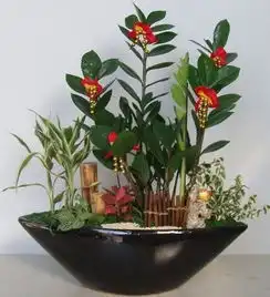 玄吉风水实用花卉旺运之风水布局