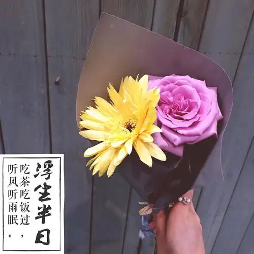 少女心的小雏菊