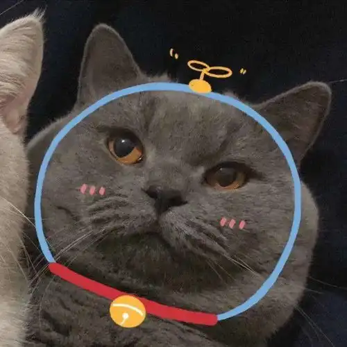 不酸,我们不酸今天的猫头超甜