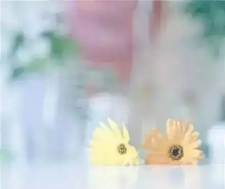 早安心语正能量的句子带图片