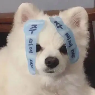 萌宠头像丨今天的杂七杂八都是快乐