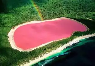 澳大利亚一神秘湖泊湖水呈粉红色十分美丽,科学至今都无法解释