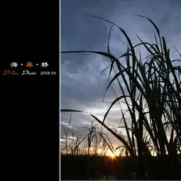 海暮桥专辑第2页黑夜
