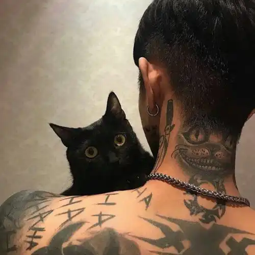 黑猫白猫双煞