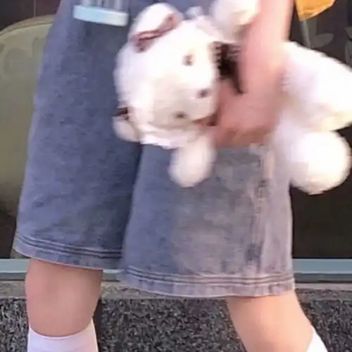 好久不见美女