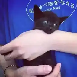 女生头像言不由衷