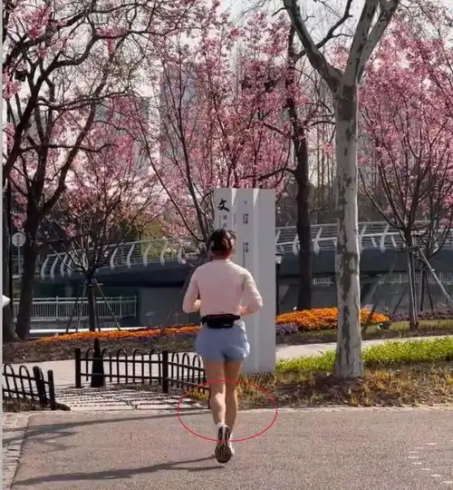 52岁董卿在上海公园晨跑,小腿肌肉很结实,路人抓拍背影像似少女