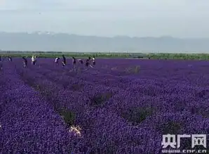 第六届旅游项目投资大会17日举行生态旅游论坛
