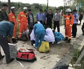 西宁宁湖湿地公园一16岁青年不慎落水身亡