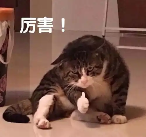 中997万元居然是因为号码看着顺眼