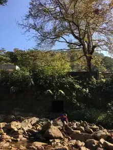 一个广州辣妈,为了孩子,搭建了个自然游乐场