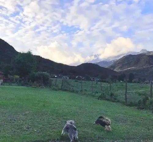 园艺疗法失眠没事干发一下我的山居生活
