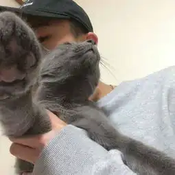 你马子真好照片你马子真好相册大全yy官方