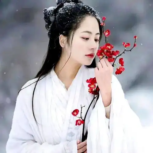 影像中国摄影网各群优秀作品展示2020年12月份23群优秀作品