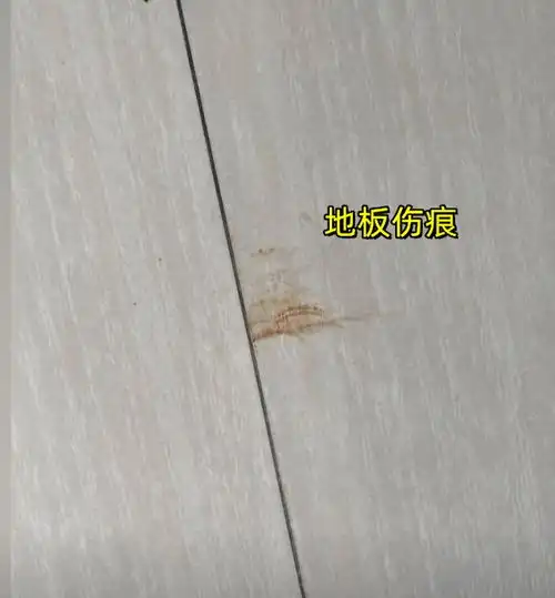广东女租客退房遇提灯定损地板2条划痕赔8千,翻新押金2万