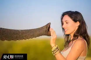 美女摄影师拍摄野性南非与猎豹亲密接触