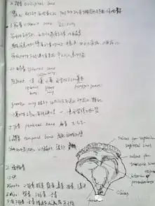 学医的妹子厉害了解剖学笔记惊艳走红