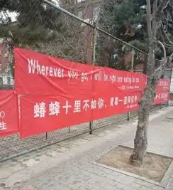 女生节来袭,各大高校挂起横幅,那条最能打动女生的心
