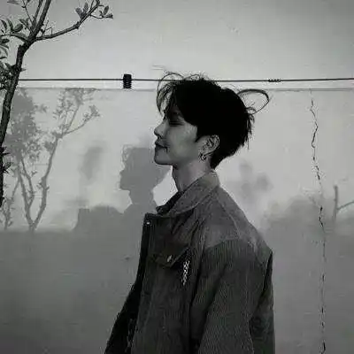 头像宁可去追求虚无也不能无所追求