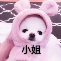 大哥的女人表情包大全