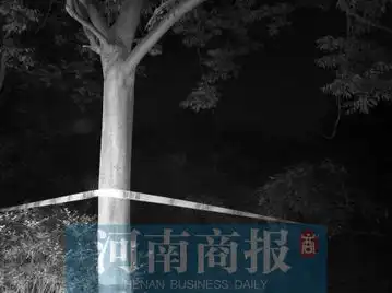 郑州一的哥被杀民警称森林公园正拆迁存治安隐患