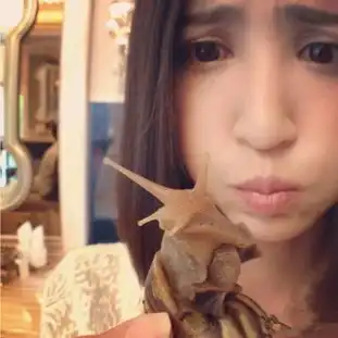 张歆艺痴迷曹格女儿微博上晒其萌照表爱意图