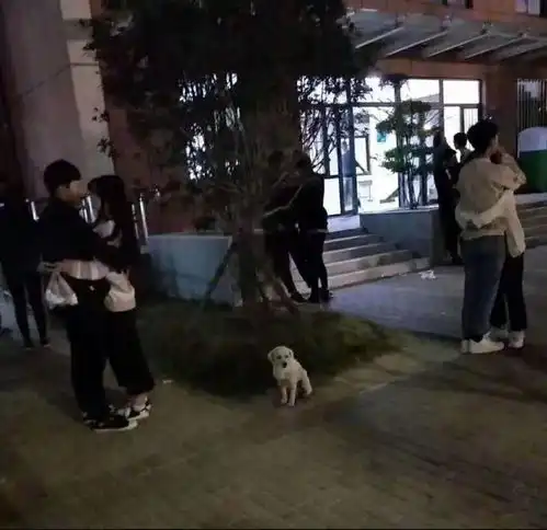 女护士透明防护服内穿比基尼我不是秀性感,是太闷热了