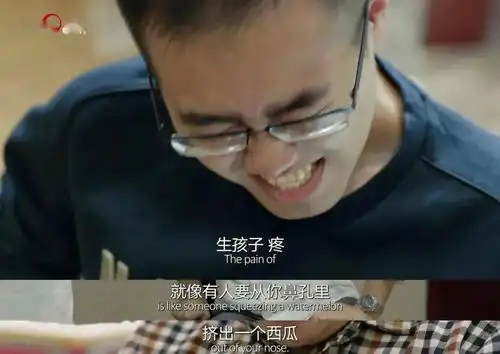 豆瓣9.1的高分记录片,文案超治愈