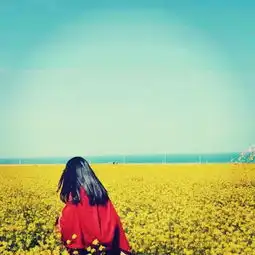 文艺范小清新女生背影头像