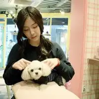 周末精选的qq女生头像爱都来不及又怎会去恨你2