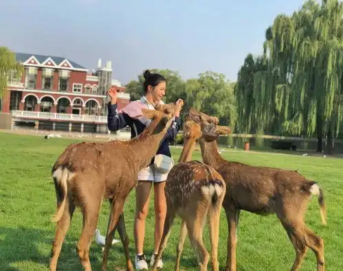 何姿带女儿去国外度假,穿运动外套配短裤真俏皮,气质都升华了