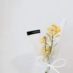 会带来好运的微信头像微信最吉利的好看头像