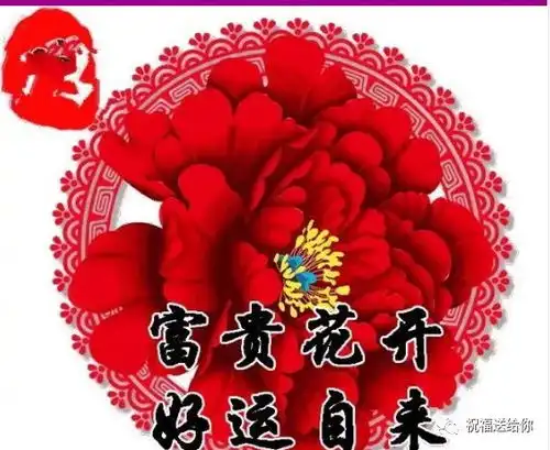 明天是除夕,送属牛人100朵富贵牡丹花祝朋友一整年花开富贵,吉祥如意