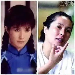 琼瑶女郎今昔对比照