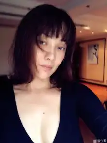 欧美派