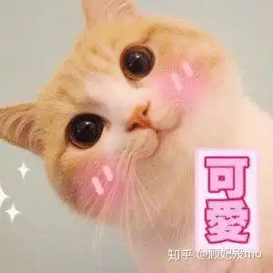金牛男和天蝎女到底是个什么鬼搭配能好吗