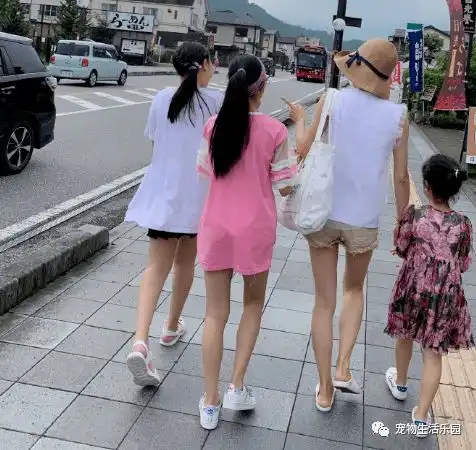 文章马伊琍离婚前相处方式惹文君竹讨厌,岳母做法让文章喜笑颜开