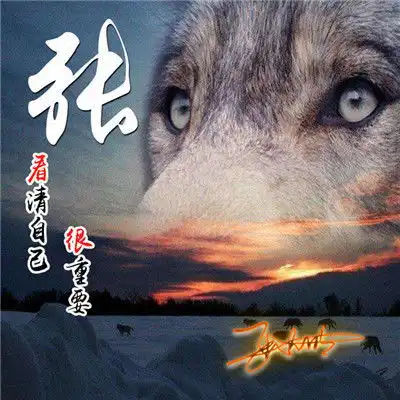 带自己姓氏的头像图片张李陈叶刘曹朱将