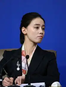 历届两会美女翻译任性姐和小清新走红