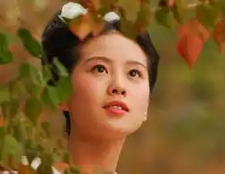 人大冷艳美女翻译神似赵薇两会美女明星代表大盘点