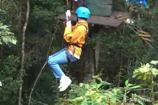 普洱太阳河森林公园,那些值得你去探寻的美景