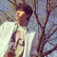 微信头像是树和路好吗