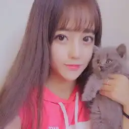 最新气质美女和萌猫咪头像大全小清新女生手抱动物头像2018