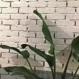 ins风背景图丨就是好看啊