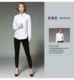 ns春季新品高端女装ol气质翻领刺绣长袖衬衫