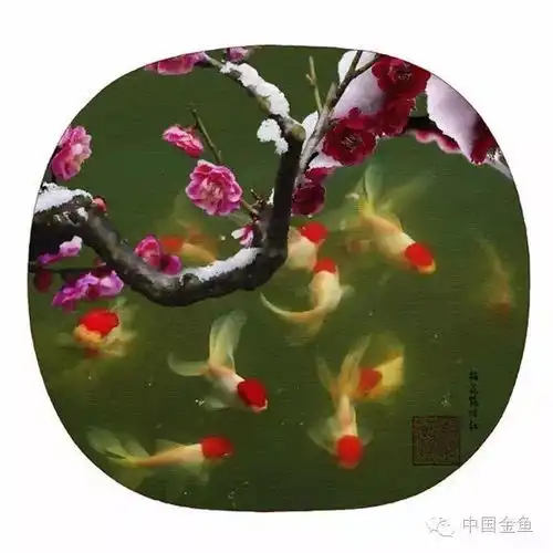 经典金鱼贺新年之鸿运当头