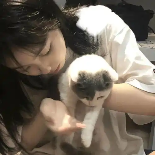 头像图片丨女生头像丨可爱的猫系女头1214